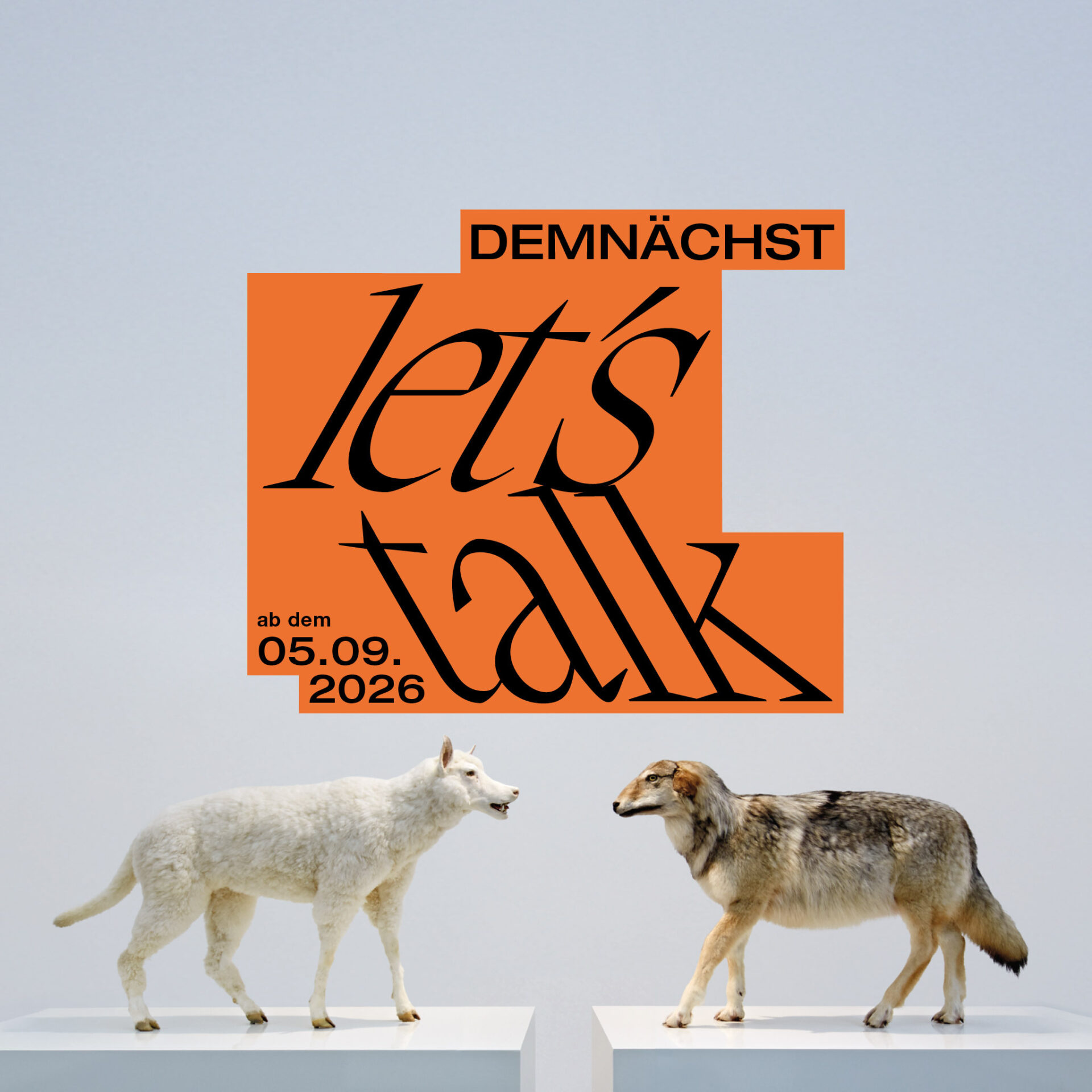 Key Visual der Sammlungspräsentation 