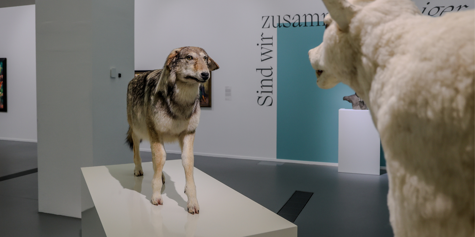 Timm Ulrichs, Wolf im Schafspelz – Schaf im Wolfspelz. Ein Verwandlungskunststück (2005/10), Sammlung Museum Ostwall im Dortmunder U