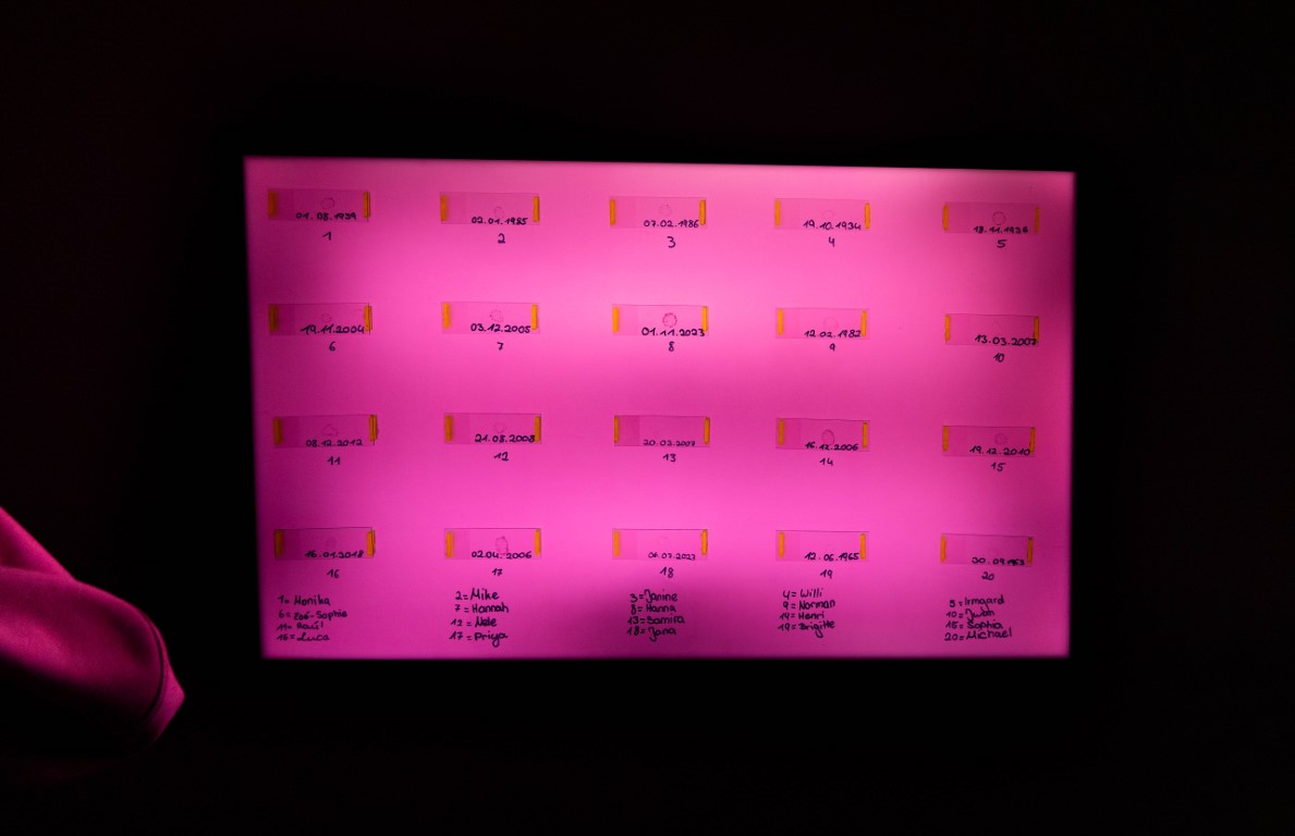 Auf einem pinken Hintergrund sind 20 Streifen mit jeweils einem Datum zu sehen, unter denen sich Tropfen befinden.