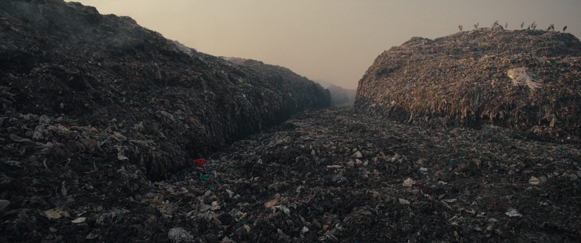 Plastic Fantastic_©Trimafilm