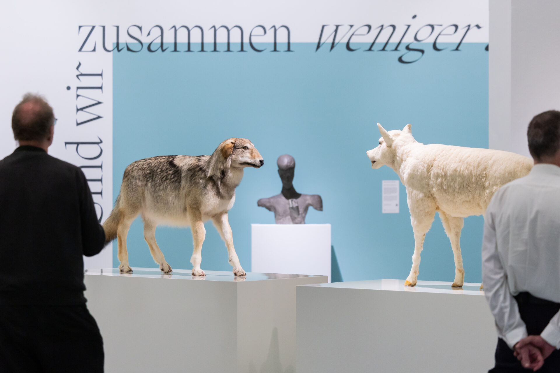 Besucher*innen betrachten das Werk von Timm Ulrichs, Wolf im Schafspelz – Schaf im Wolfspelz. Ein Verwandlungskunststück (2005/10), Sammlung Museum Ostwall im Dortmunder U. © VG Bild-Kunst, Bonn 2026